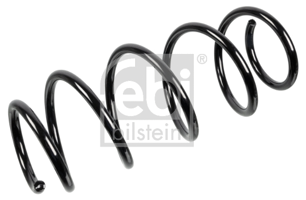 Suspension Spring (174725)