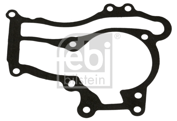 Gasket, water pump (49452)