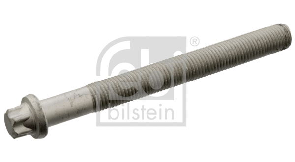 Cylinder Head Bolt (19419)