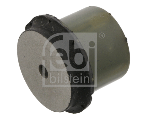 Bushing, axle beam (37122)