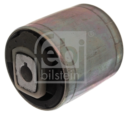 Mounting, control/trailing arm (10073)