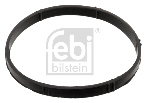 Gasket, throttle body (106506)