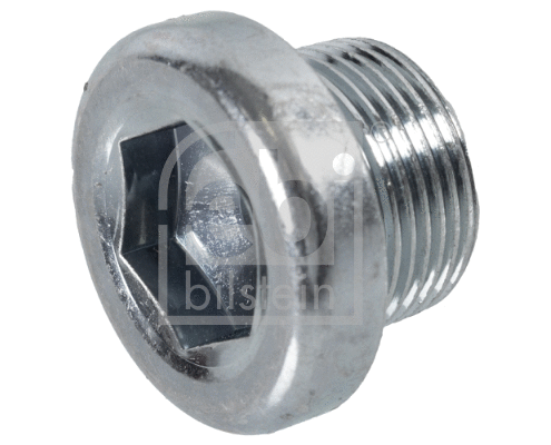Screw Plug, transmission housing (172147)