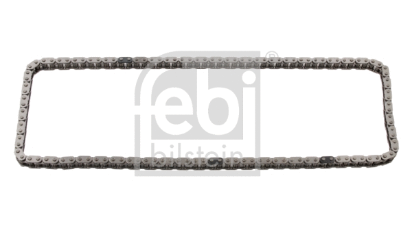 Timing Chain (31454)