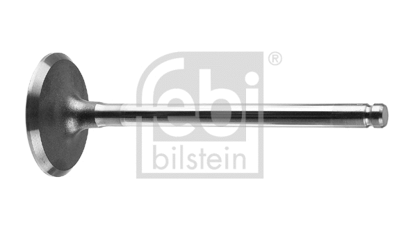 Intake Valve (17392)