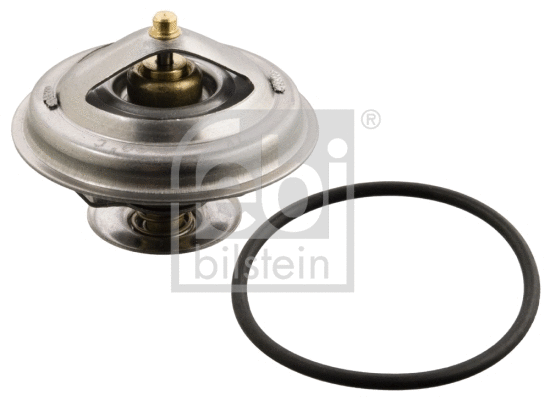 Thermostat, coolant (12189)