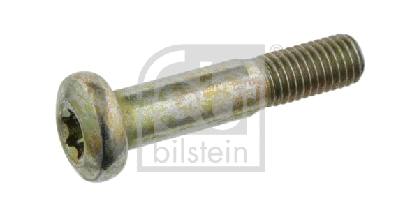 Bolt, control arm (24391)