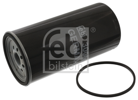 Fuel Filter (30006)