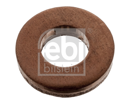 Seal Ring, injector (100543)