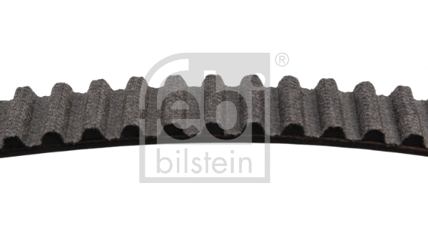 Timing Belt