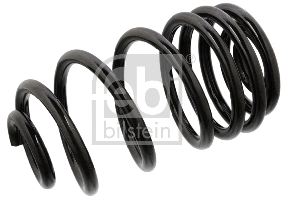 Suspension Spring (104717)