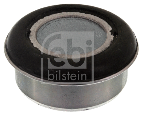 Bushing, axle beam (44892)