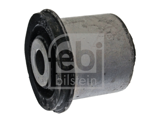 Mounting, control/trailing arm (10149)