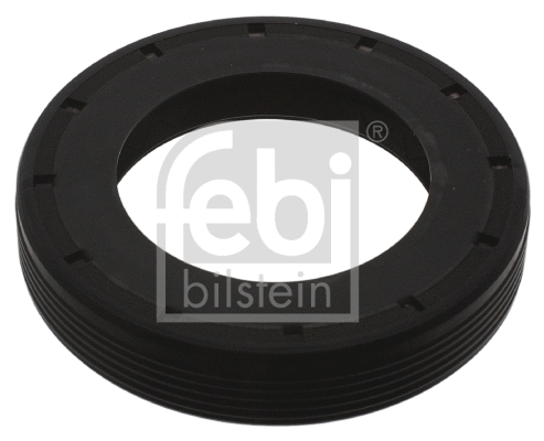 Shaft Seal, differential (11412)