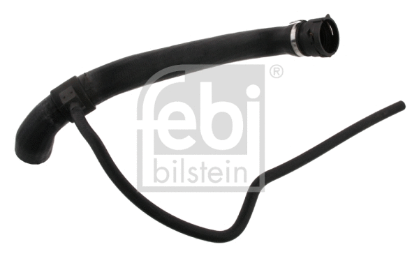 Radiator Hose (36147)