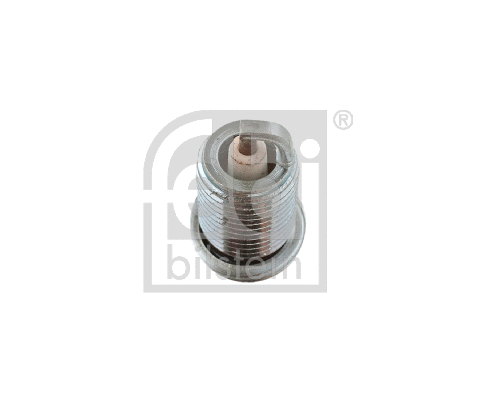 Spark Plug