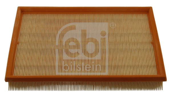 Air Filter (30992)