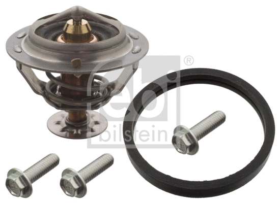 Thermostat, coolant (104764)