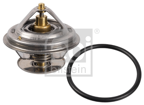Thermostat, coolant (172218)