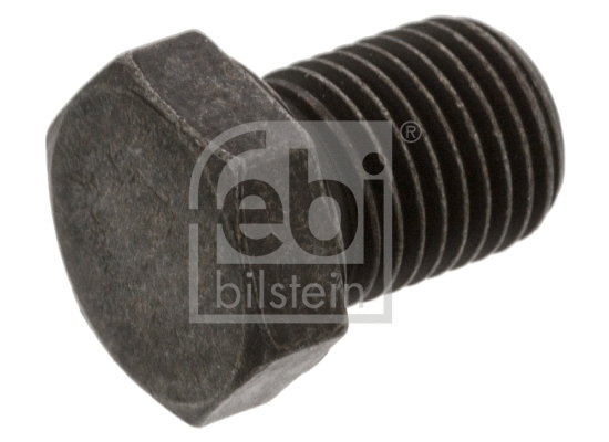 Screw Plug, oil sump (15322)
