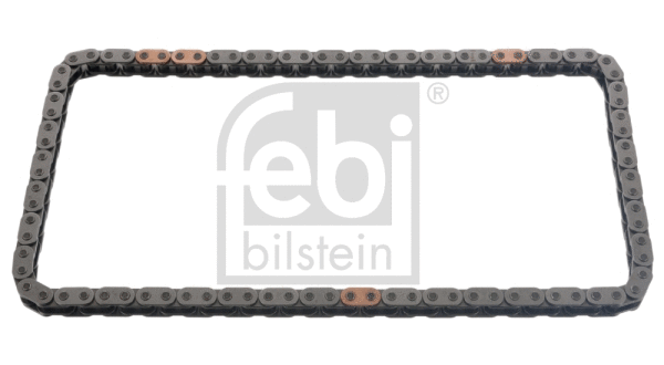 Timing Chain (48572)