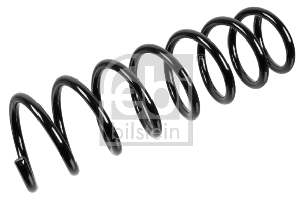 Suspension Spring (174724)