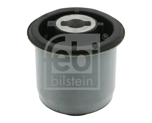 Bushing, axle beam (28403)