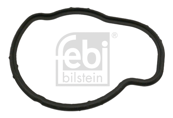 Seal, thermostat (49408)