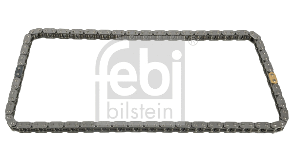 Timing Chain (48293)