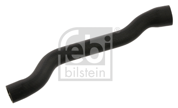 Radiator Hose (37374)