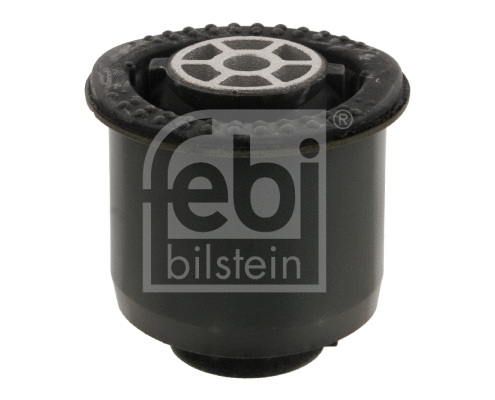 Bushing, axle beam (31129)