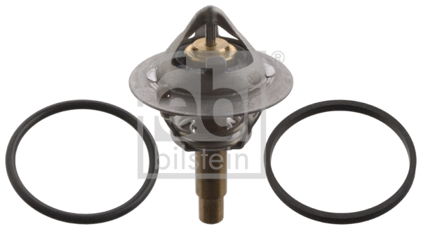 Thermostat, coolant (106507)