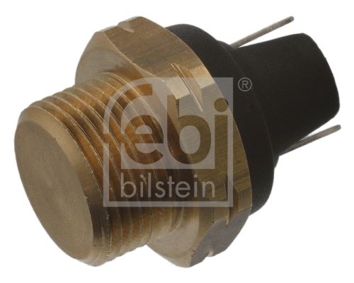 Temperature Switch, radiator fan (06031)