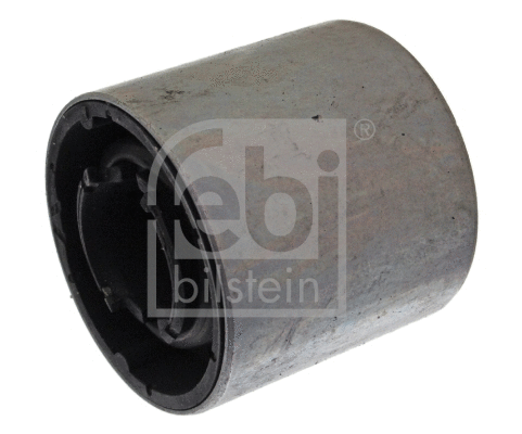 Mounting, control/trailing arm (22438)