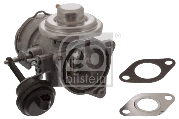 EGR Valve (46807)