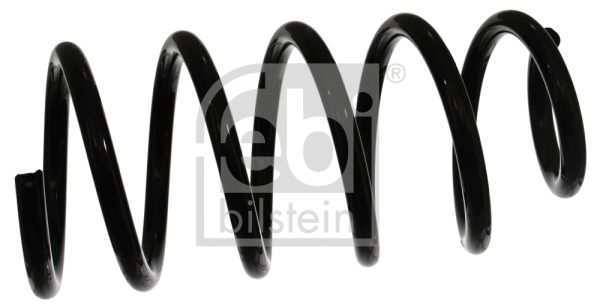 Suspension Spring (46817)