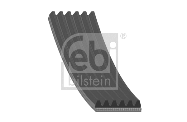 V-Ribbed Belt (44222)
