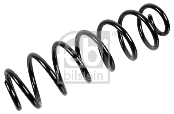 Suspension Spring (174730)
