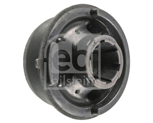 Mounting, control/trailing arm