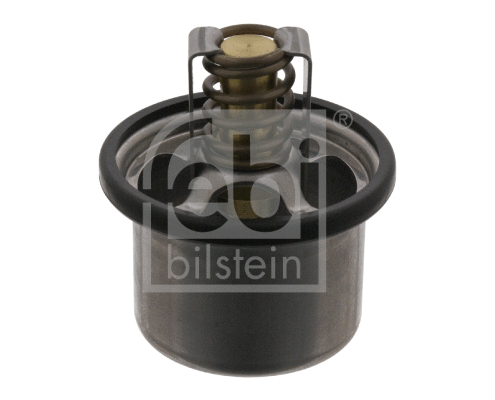 Thermostat, coolant (11849)