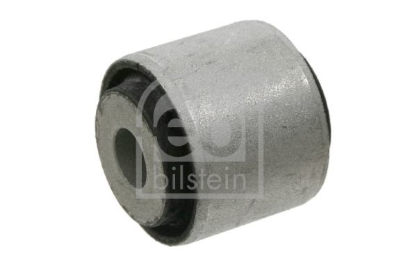 Mounting, control/trailing arm (21968)