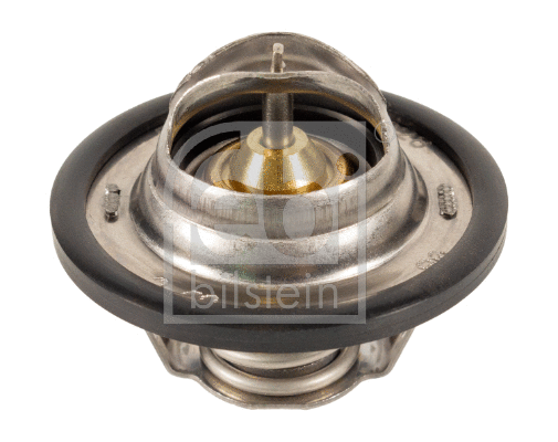 Thermostat, coolant (24028)