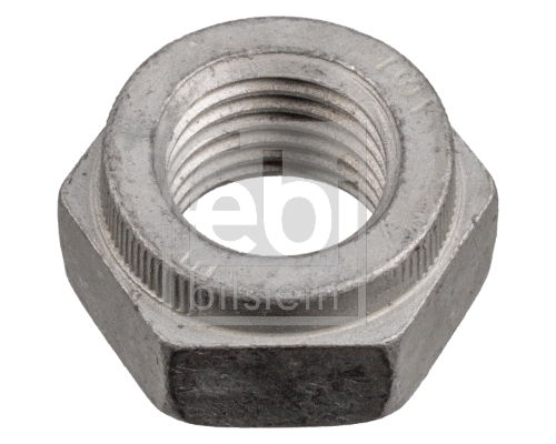 Nut (06877)