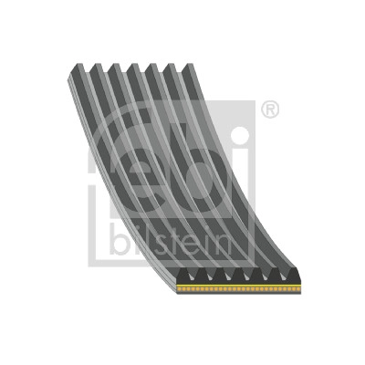 V-Ribbed Belt (182992)