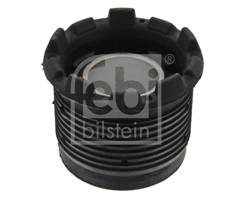 Bushing, axle beam (10300)