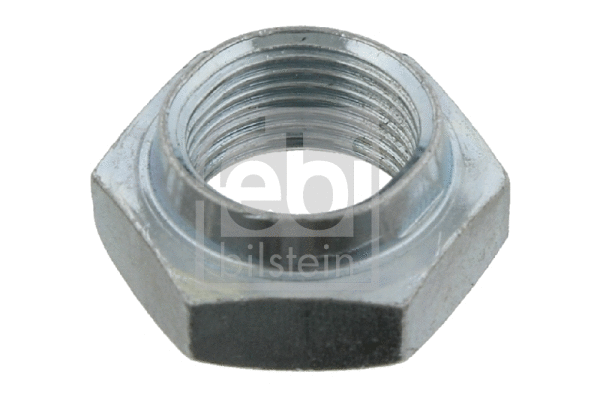 Nut, stub axle (02160)
