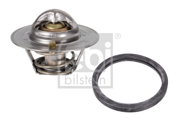 Thermostat, coolant (22447)
