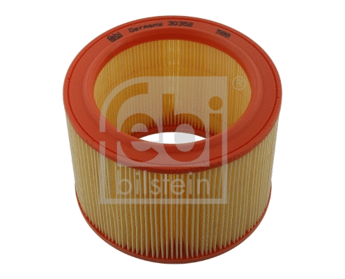 Air Filter (30352)