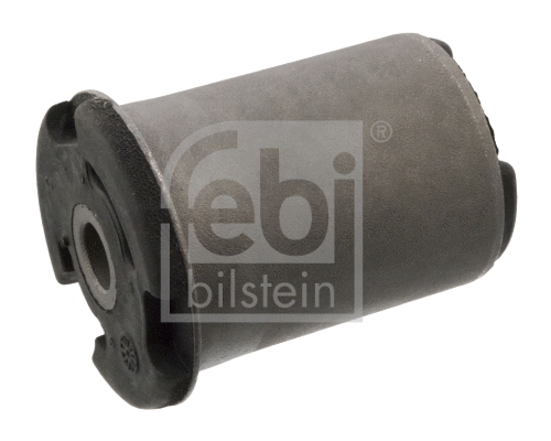 Bushing, axle beam (04305)