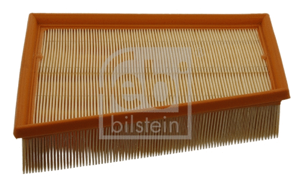 Air Filter (30984)